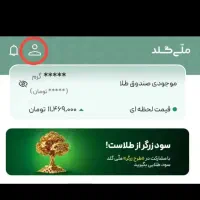 کسب درآمد با ملی گلد