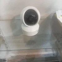 دوربین مموری خور برایتون