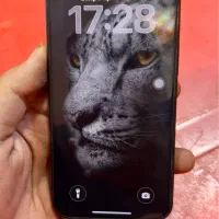 Iphone 13|موبایل|پاکدشت, پاکدشت (مامازند)|دیوار