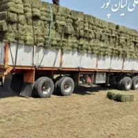 خرید فروش یونجه مغان