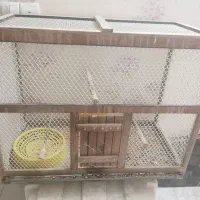 قفس انواع مختلف پرنده، گربه، سگ