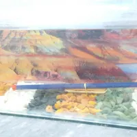 آکواریوم ماهی