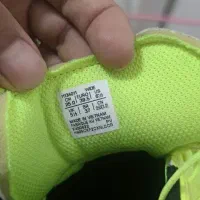 کتونی سالنی اورجینال سایز۴۰|کیف، کفش، کمربند|رشت, استقامت ۱|دیوار