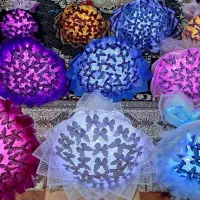 بوکت پروانه سوپرایزی بدلیجات