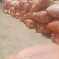 فروش کاه