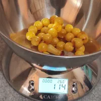 تزبیح سندلوس رگ دار قدیم|کلکسیون اشیاء عتیقه|بانه, |دیوار