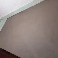 پالازموکت|موکت|تربت‌حیدریه, آغوی|دیوار