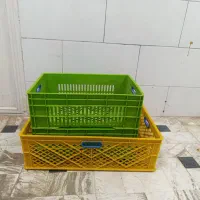 سبد