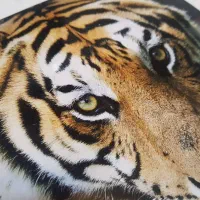 چاپ تخته شاسی با طرح دلخواه