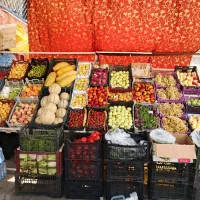 استخدام شاگرد ساده زیر 18سال برای میوه فروشی