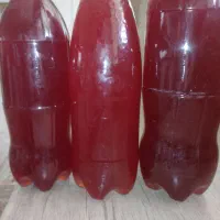 آبغوره اصل اورگانیک