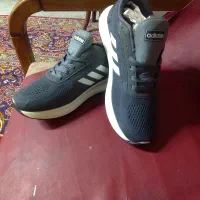 کتانی مردانه. adidas