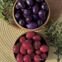 زیتون|خوردنی و آشامیدنی|شیراز, آزادگان|دیوار