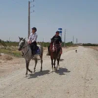 آموزش سوارکاری