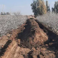 مینی بیل مکانیکی کانال خاکبرداری چالکود|خدمات باغبانی و درختکاری|رفسنجان, |دیوار