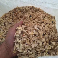 خریدار پوسته پسته از 1کیلو تا 1000000کیلو