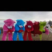 انواع عروسک ۱۰۰الی ۳۸۰۰|اسباب‌بازی بچه|اردبیل, |دیوار