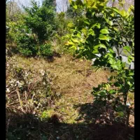 زمین خوش قیمت