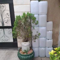 گالن بیست لیتری و ده لیتری