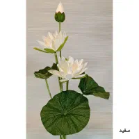 «گل نیلوفر نو» به قیمت خرید|گل مصنوعی|زنجان, |دیوار