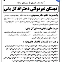 آموزشگاه علمی آزاد گل یاس گنبد|خدمات آموزشی|گنبد کاووس, |دیوار