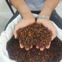 انواع کشمش گله آفتابی درگز و کاشمر