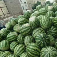 هندوانه شیرین