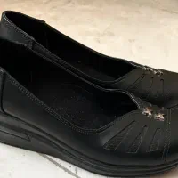 کفش نو زنانه سایز۳۸