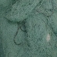 تور شیری رکسه معاوضه با تور یالی