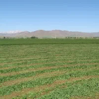 فرصت-استراتژیک-واگذاری-اراضی-وسیع-همدان