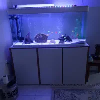 اکواریوم شیشه خم