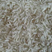 فروش برنج مرغوب|خوردنی و آشامیدنی|بابل, |دیوار