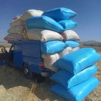 خرید و فروش انواع  کاه