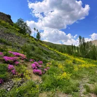 پیمایش طبیعت‌گردی استان البرز