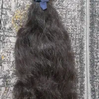 موی طبیعی