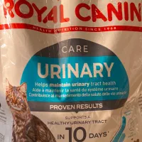 غذا خشک گربه رویال