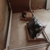 تخت یک نفره فلزی