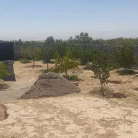 فروش باغ ۸۰۰متری بهترین موقعیت مکانی|فروش خانه و ویلا|مشهد, فردوسی|دیوار
