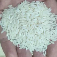 برنج هندی سونامسوری آآرنا سفید عنبربو خارجی