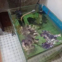 لجن خوار