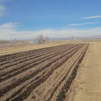 خدمات کشاورزی  و کاشت باغ