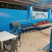 اجاره باغ روزانه پل پالایشگاه|اجارهٔ کوتاهمدت ویلا و باغ|شیراز, حومه شیراز|دیوار