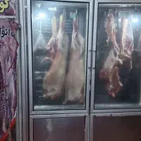 یخچال و فریزر|یخچال و فریزر|تهران, دردشت|دیوار