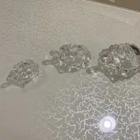 لاک پشت
