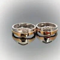 گمشده  حلقه طلا