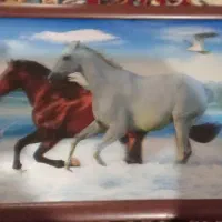 قاب عکس سه بعدی سالم در حد نو