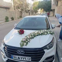 باکس گل اقتصادی