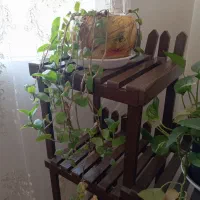 کناره یک متر در 5نیم 7عدد گلدان|فرش|سلماس, |دیوار