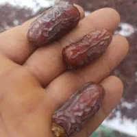 خرمای پیارم|خوردنی و آشامیدنی|شیراز, فرگاز|دیوار