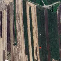 زمین کشاورزی آبی به قیمت زمین دیم